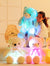 LED Light-Up Teddy Bear Plush Toy